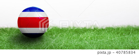 Panoramic Green grass and flagged soccer ball 40785834