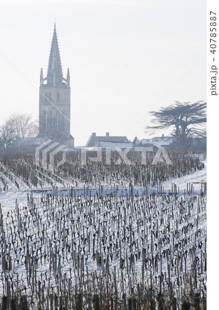 Snow covered vineyards-Saint-Emilion Snow covered vineyards-Saint-Emilion 40785887