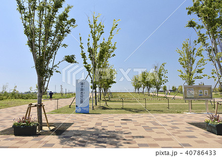 愛知県安城市 油ヶ淵水辺公園 愛知県安城市 油ヶ淵水辺公園 40786433