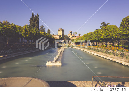 Gardens at the Alcazar de los Reyes Cristianos  40787156