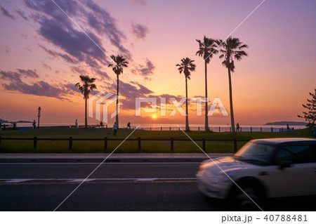 千葉県 北条海岸 椰子と夕日 千葉県 北条海岸 椰子と夕日 40788481