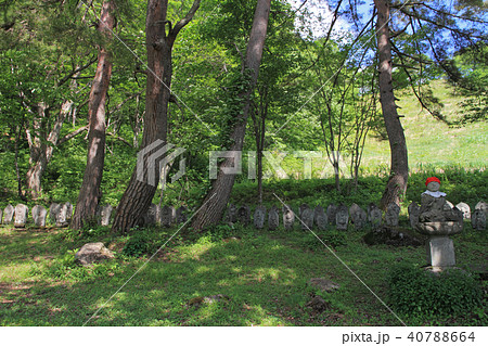 前山百体観音 小谷村 前山百体観音 小谷村 40788664