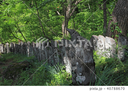 前山百体観音 小谷村 前山百体観音 小谷村 40788670