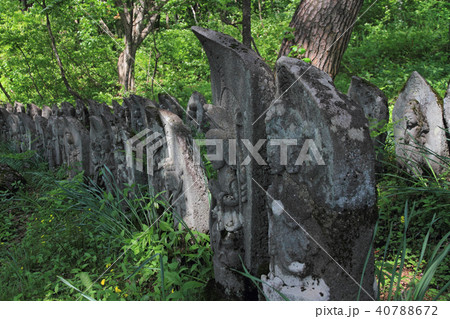 前山百体観音 小谷村 前山百体観音 小谷村 40788672