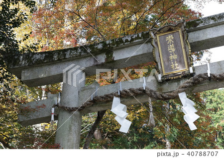 崇道神社 40788707