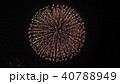 花火 40788949