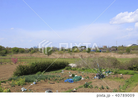 見沼田んぼを行く武蔵野線205系 見沼田んぼを行く武蔵野線205系 40789009