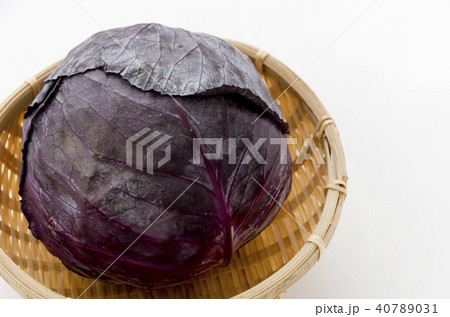 紫キャベツ 紫キャベツ 40789031