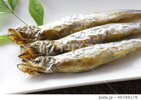 子持ちししゃも32 40789179