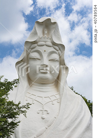 大船観音(鎌倉市岡本) 大船観音(鎌倉市岡本) 40789564