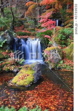 秋の翠楽苑（福島県・白河市） 40789650