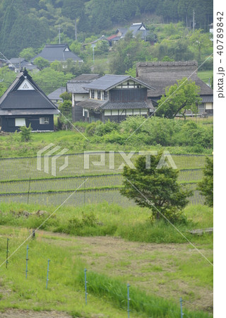【京都府 福知山市】毛原の棚田、田園集落の風景 【京都府 福知山市】毛原の棚田、田園集落の風景 40789842