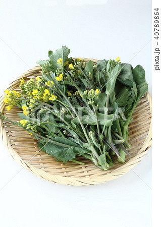 のらぼう菜 のらぼう菜 40789864