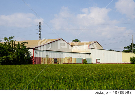 農耕 農業 アジア人 40789998