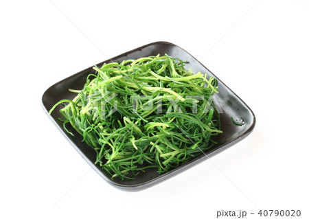 おかひじきの茹で物 40790020