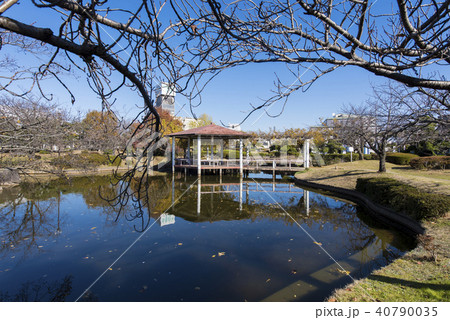加古川市役所の公園　（兵庫県加古川市） 40790035