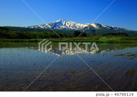 新緑の鳥海山 40790119