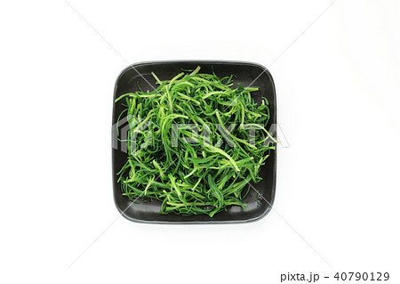 おかひじきの茹で物 40790129