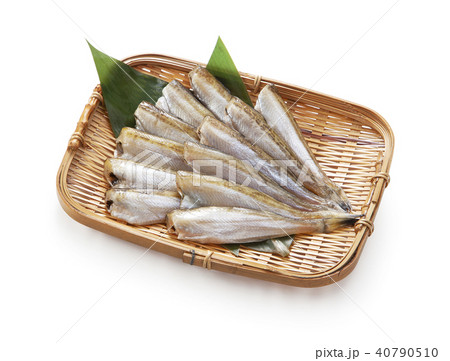 ハタハタ ハタハタ 40790510