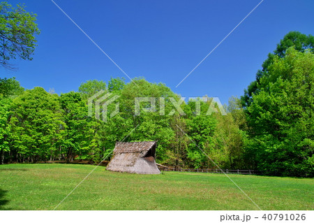 縄文遺跡　尖石遺跡 40791026