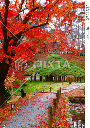 秋の霞ヶ城公園・笠松（二本松市） 40791332