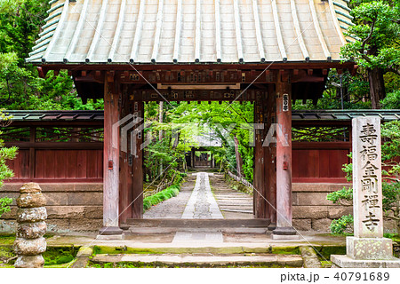 鎌倉 寿福寺 総門 40791689