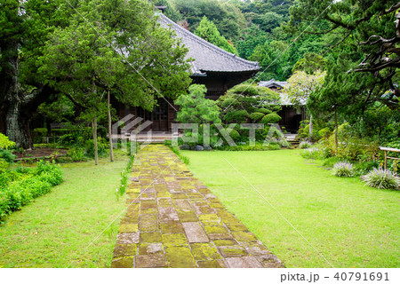 鎌倉 寿福寺 仏殿 40791691