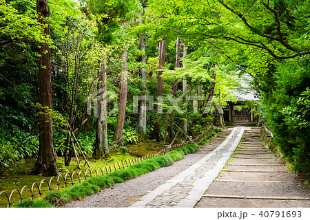 鎌倉 寿福寺 参道の写真素材