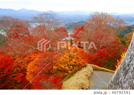 秋の霞ヶ城公園（二本松市） 40792591