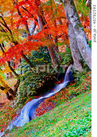 秋の霞ヶ城公園（二本松市） 40792593