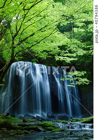 新緑と不動滝 40794386
