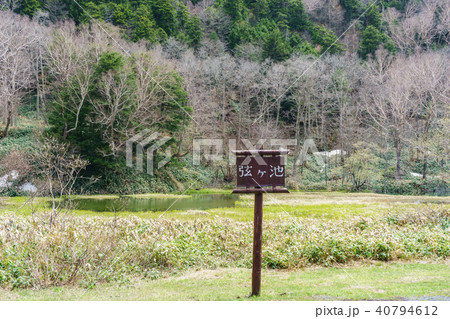 万座ハイウェー沿いの「弦ヶ池」 40794612