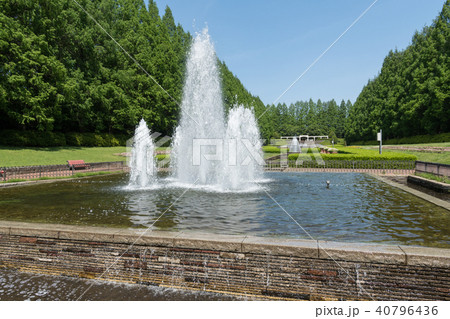 相模原公園フランス式庭園 相模原公園フランス式庭園 40796436