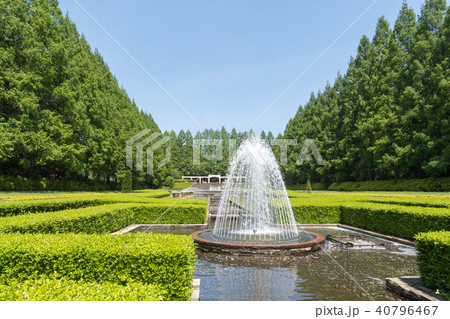 相模原公園フランス式庭園 相模原公園フランス式庭園 40796467