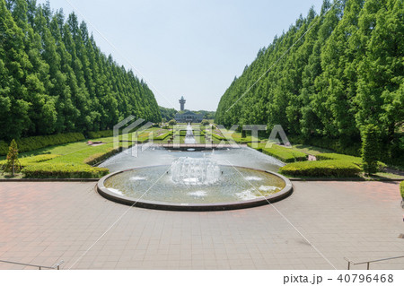 相模原公園フランス式庭園 相模原公園フランス式庭園 40796468