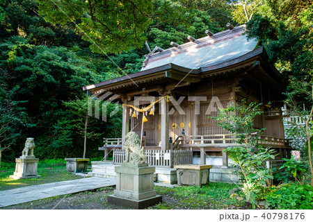 鎌倉 甘縄神社 社殿 鎌倉 甘縄神社 社殿 40798176