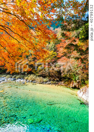 阿寺渓谷（１１月） 40799132