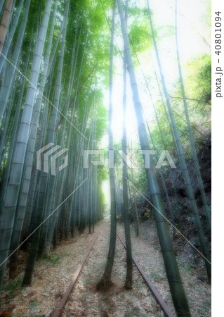 倉吉線の廃線跡 倉吉線の廃線跡 40801094