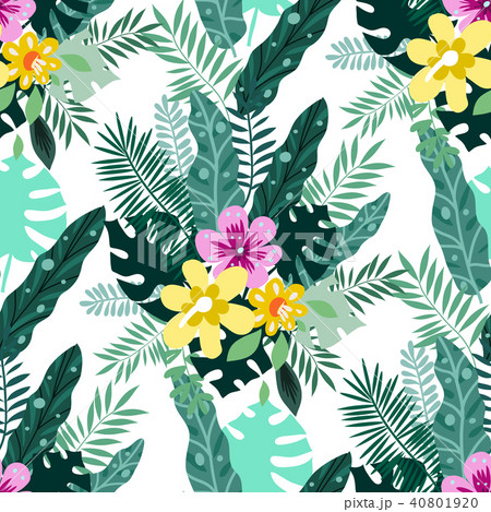 Tropical pattern Tropical pattern 40801920