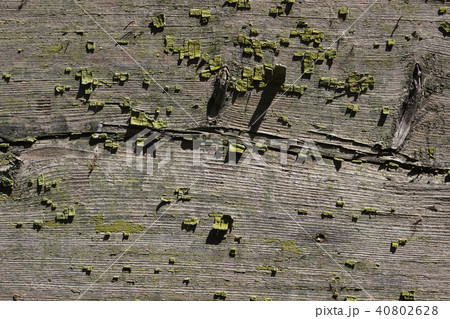 Vintage wood background 40802628