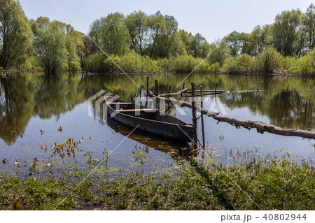 Wooden boat at village places in the floodplain forests of the Desna river, Ukraine Wooden boat at village places in the floodplain forests of the Desna river, Ukraine 40802944