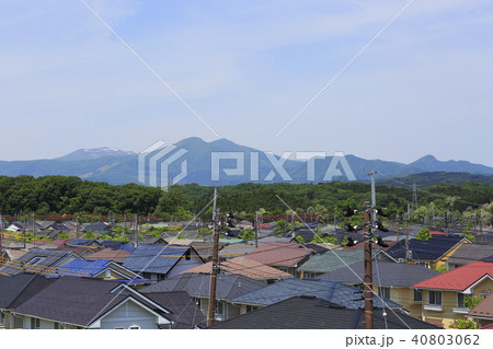 仙台　泉パークタウン　桂と泉ヶ岳 40803062