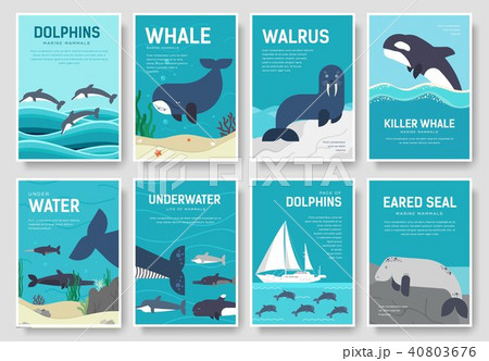 Set of Sea mammals pattern concept. Art animal 40803676
