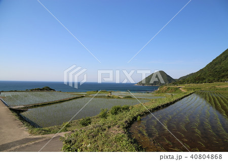 袖志の棚田 (そでしのたなだ) 京都府京丹後市丹後町袖志 袖志の棚田 (そでしのたなだ) 京都府京丹後市丹後町袖志 40804868