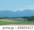 四季彩の丘 40805427