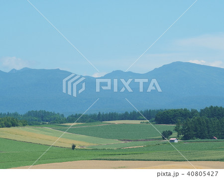 四季彩の丘 40805427