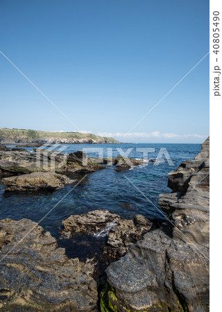 城ヶ島 赤羽根崎の岩礁地帯の写真素材