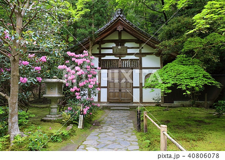 京都 初夏の法然院 京都 初夏の法然院 40806078