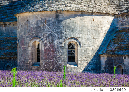 Lavender in front of the abbaye de Senanque  40806660