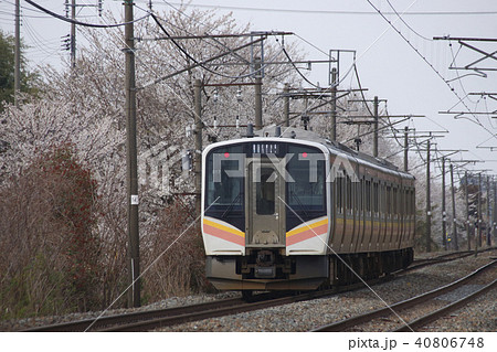 桜並木と信越本線e129系 長岡 新潟 の写真素材 40806748 Pixta